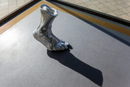 whacko in loco out zuzanna czebatul at ig metall kreuzberg 