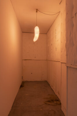 nigin beck exhibition view berlin beware o wanderer 